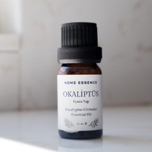 okaliptüs - uçucu yağı