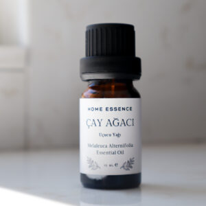 çay ağacı - uçucu yağı